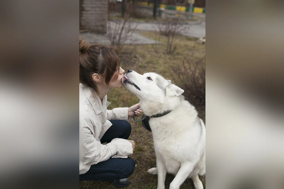 Лучший друг собаки: в Нижнем Новгороде появилась новая профессия
