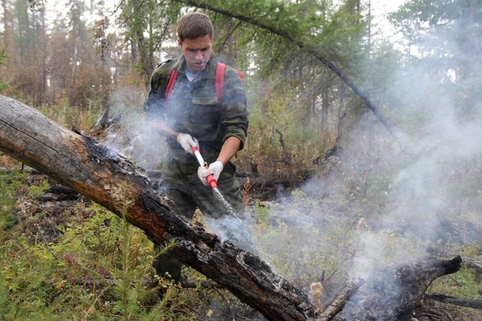 Лесные пожары: в зоне рисков 500 поселков Приангарья.