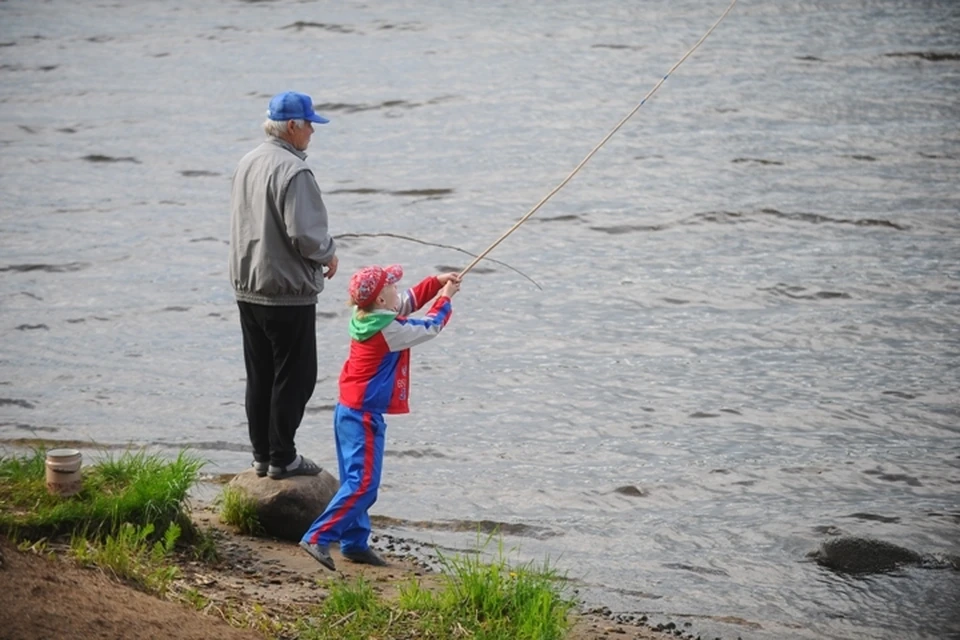 Рыболовный сезон 2019: за что будут штрафовать и какую рыбу можно ловить в Иркутской области.