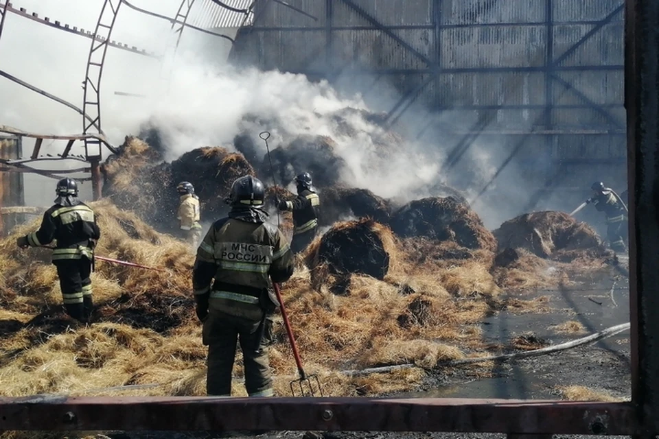 Пожар в конном клубе в Хабаровске: огонь бушевал на 800 квадратных метрах