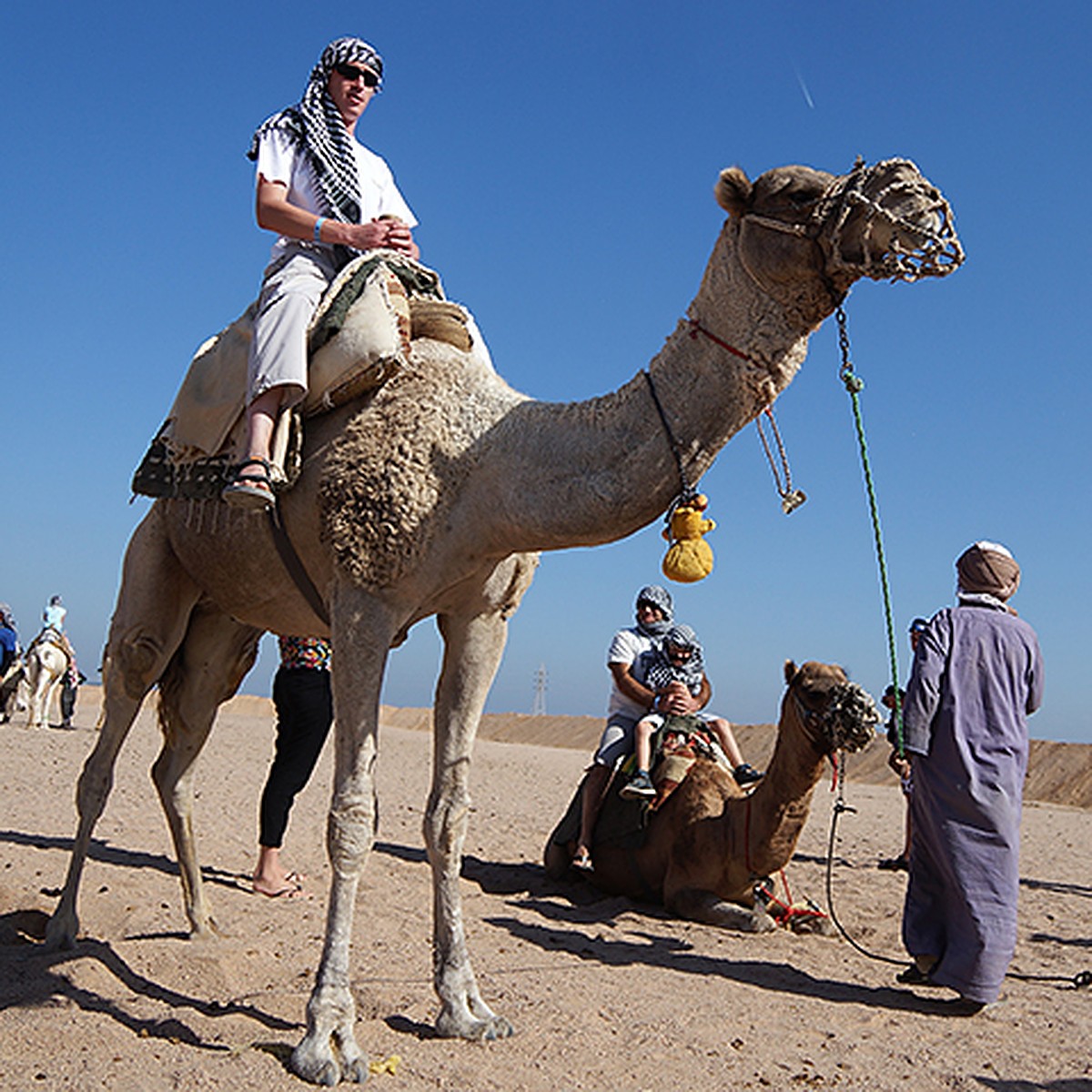 месяц на закате. полумесяц. луна в египте. египет туризм.
