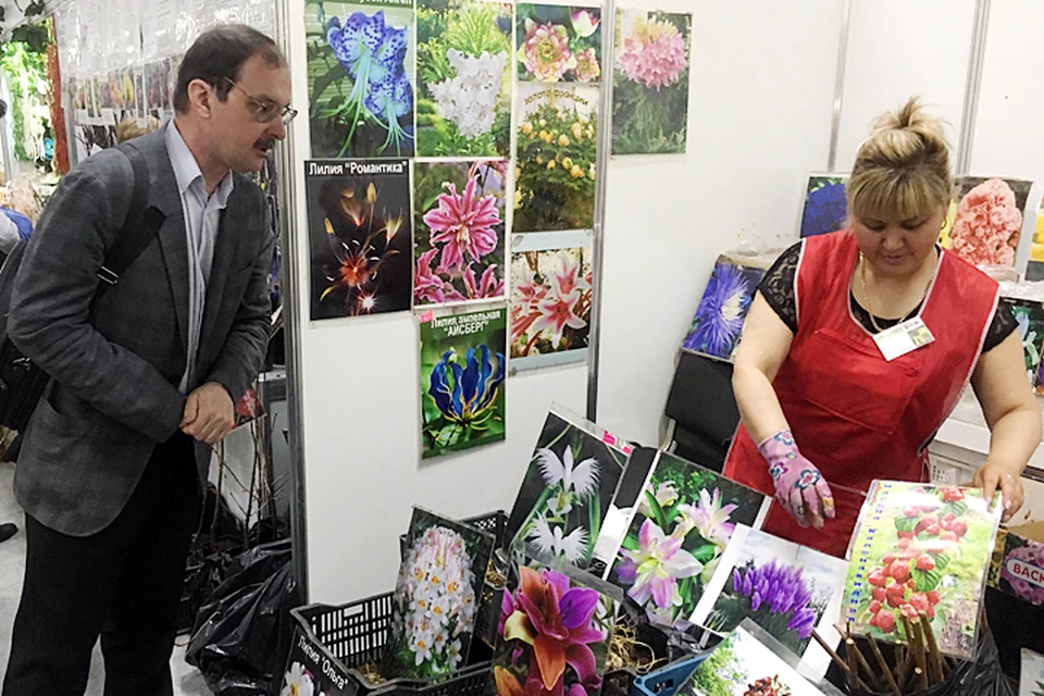 Покупка семян на садоводческих выставках превратилась в лотерею, в которой продавец всегда остаётся с выигрышем