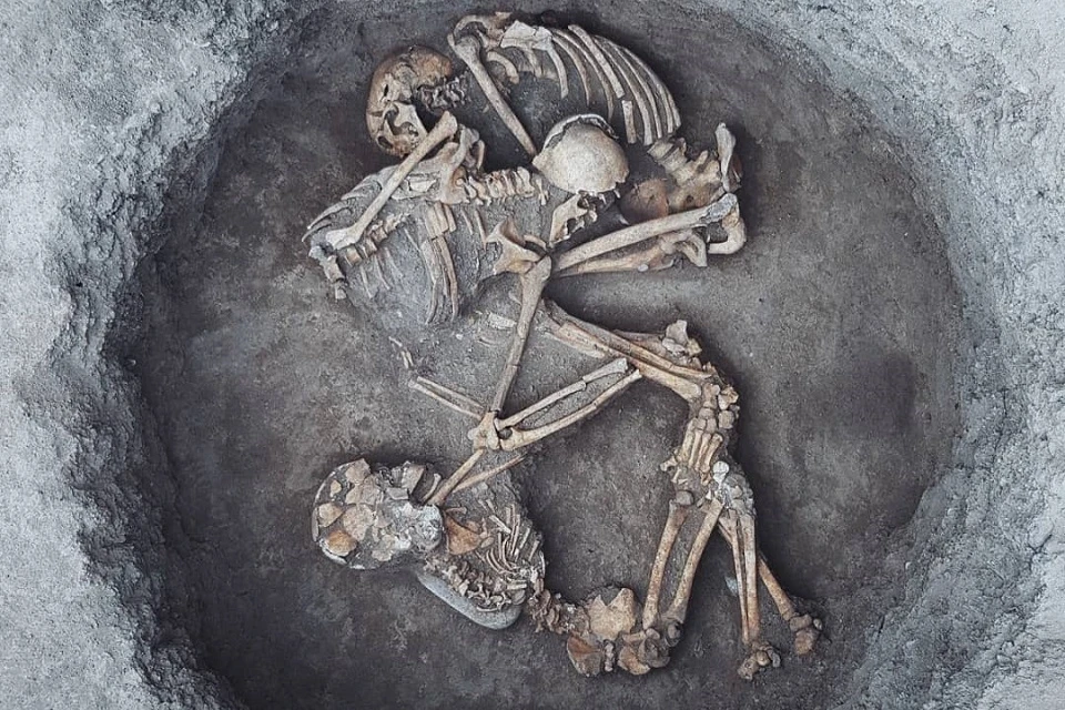 Скелеты загадочно погибших людей нашли на древнем городище в Ингушетии. Фото: пресс-служба Археологического центра им. Е.И. Крупнова