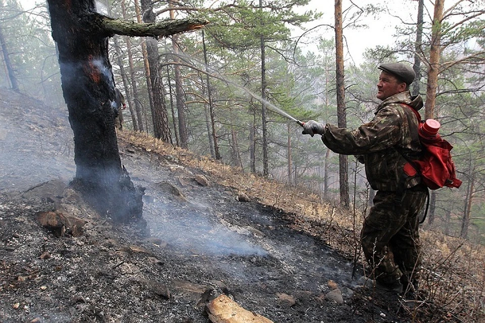 Лесные пожары в Иркутской области: число очагов уменьшилось до семи