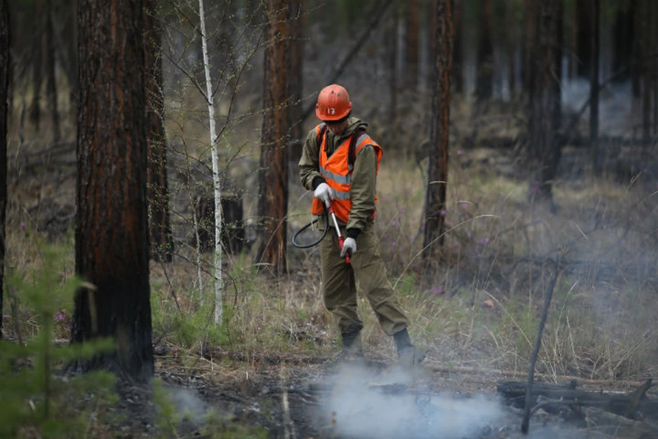 Лесные пожары в Иркутской области: огонь удалось «взять в кольцо».