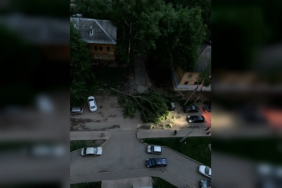 Упавшие деревья, помятые машины, оборванные провода - малые последствия буйства стихии. Фото: Андрей КОШКИН