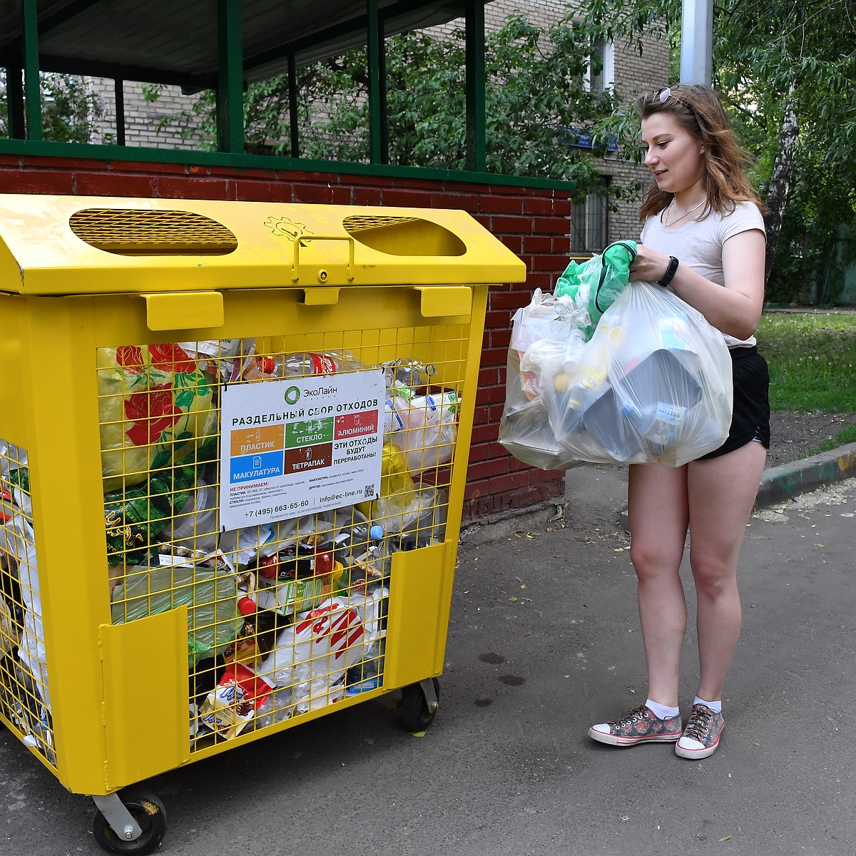 Раздельный сбор мусора в Сыктывкаре: куда и что нести - KP.RU