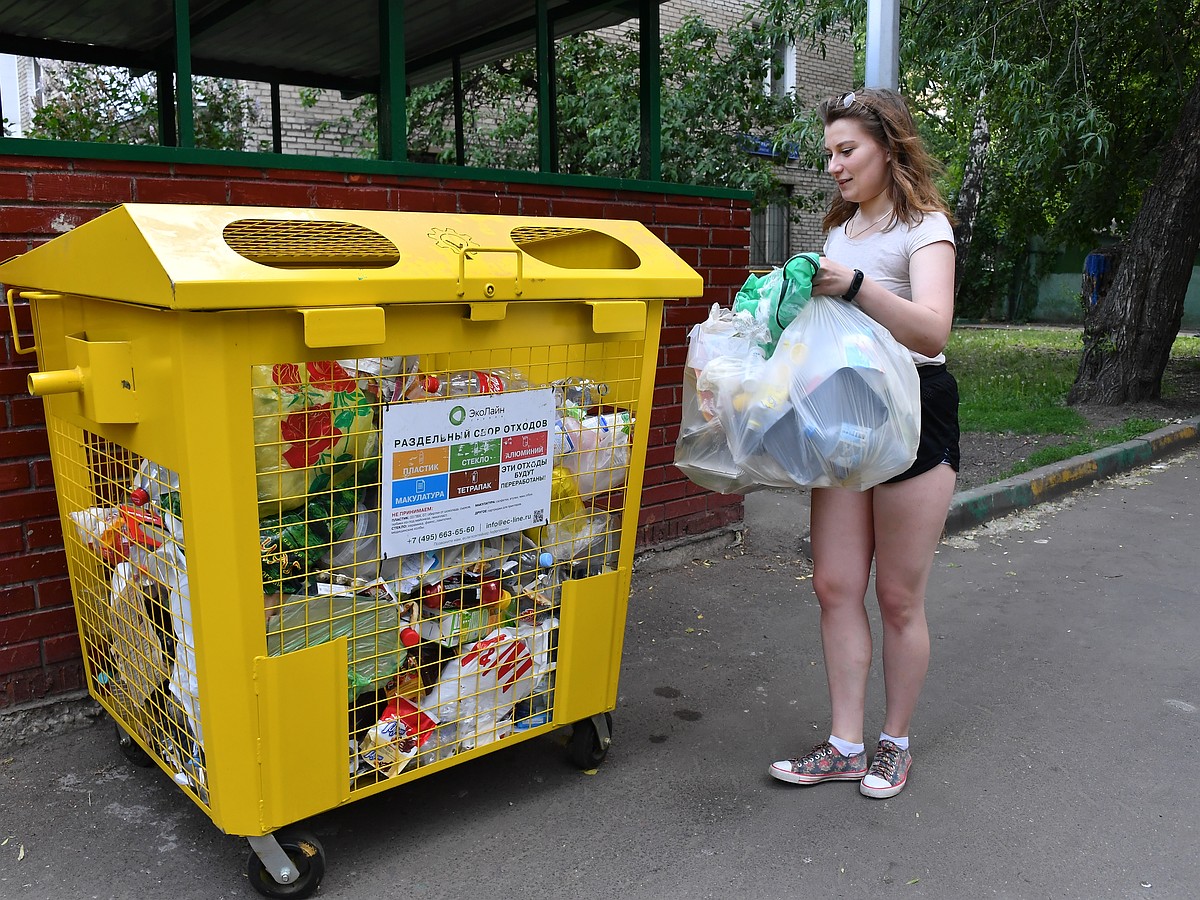 Раздельный сбор мусора в Сыктывкаре: куда и что нести - KP.RU