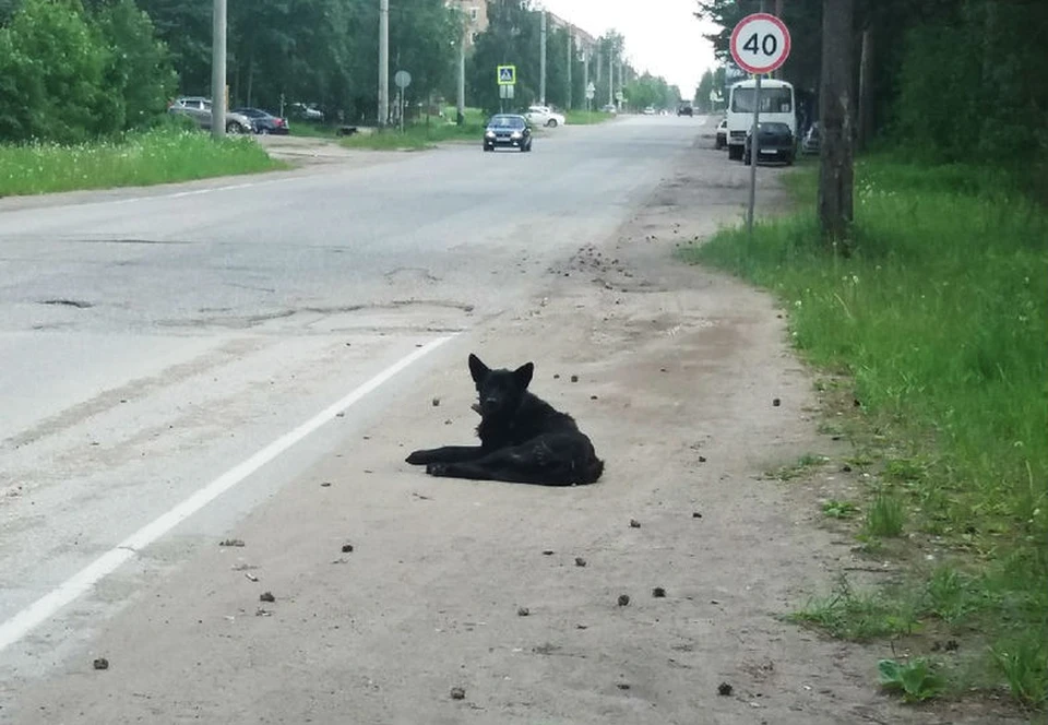 Фото Елены Александровны