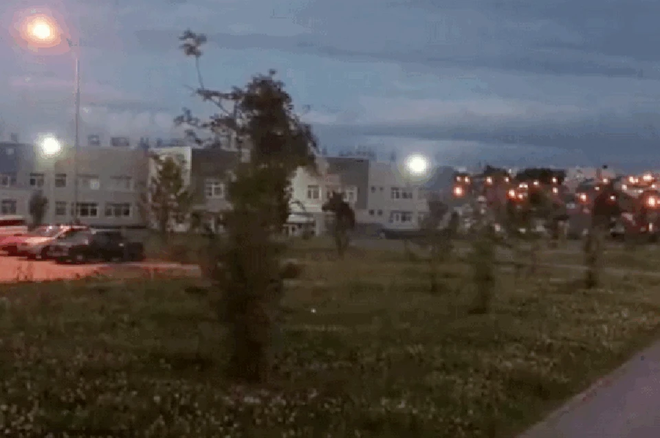 Дикий лось гулял по автомобильной парковке в Кемерове. ФОТО: кадр видео Юлии Черновой.