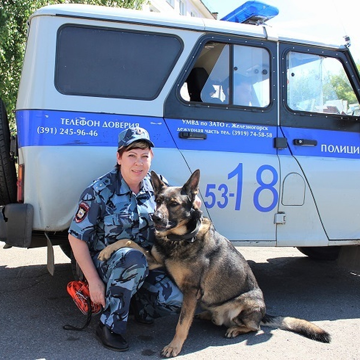 Один идет по следу. Полицейский пес за час нашел заблудившегося в тайге  грибника - KP.RU