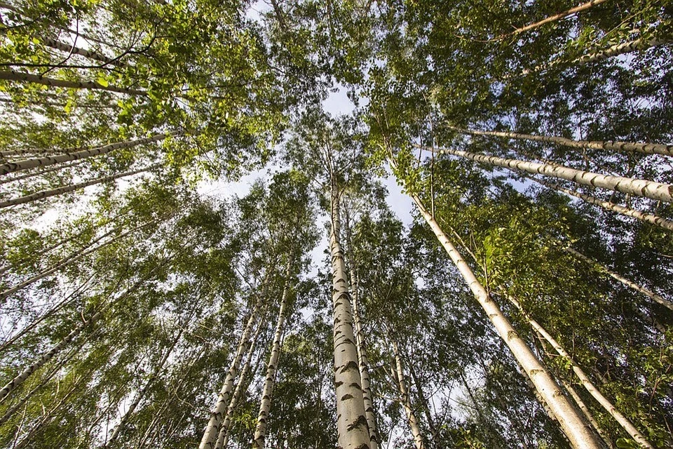 Фото: Подслушано в Рыбинске