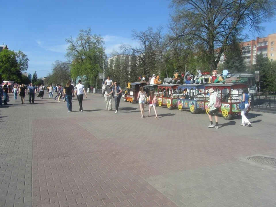 В Курске проходит немало мероприятий для семей