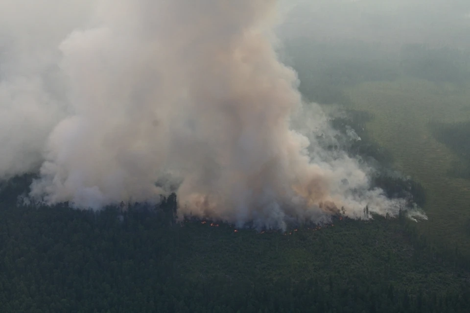 Тайга продолжает гореть на территории более 3 миллионов гектаров Фото: Лесопожарный центр