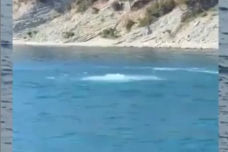 Странное бурление в море: водоканал Геленджика заявил, что прорыва канализации в Кабардинке не было
