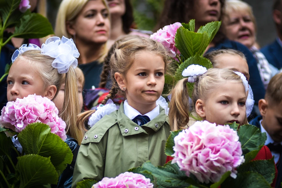 Кто-то уже понял, что все это затянется на долгих 11 лет.