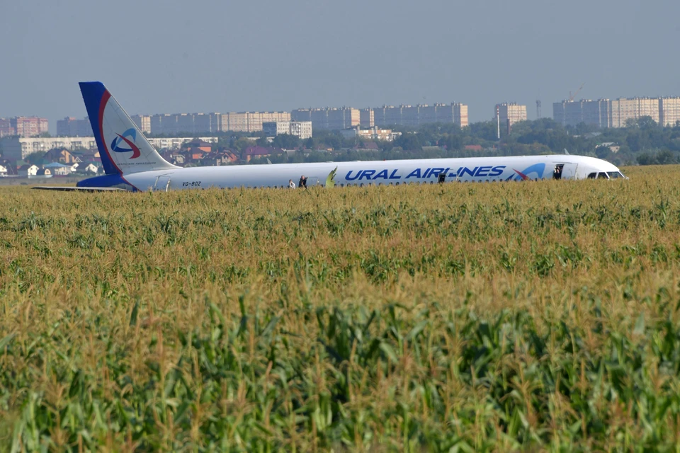 Пилоту удалось посадить пассажирский самолет, на борту которого находились 224 пассажира и семь членов экипажа, на кукурузное поле.
