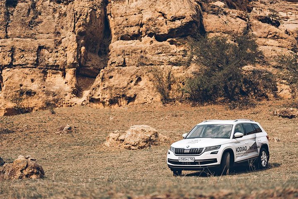 ŠKODA KODIAQ - мощный, как медведь-кадьяк.