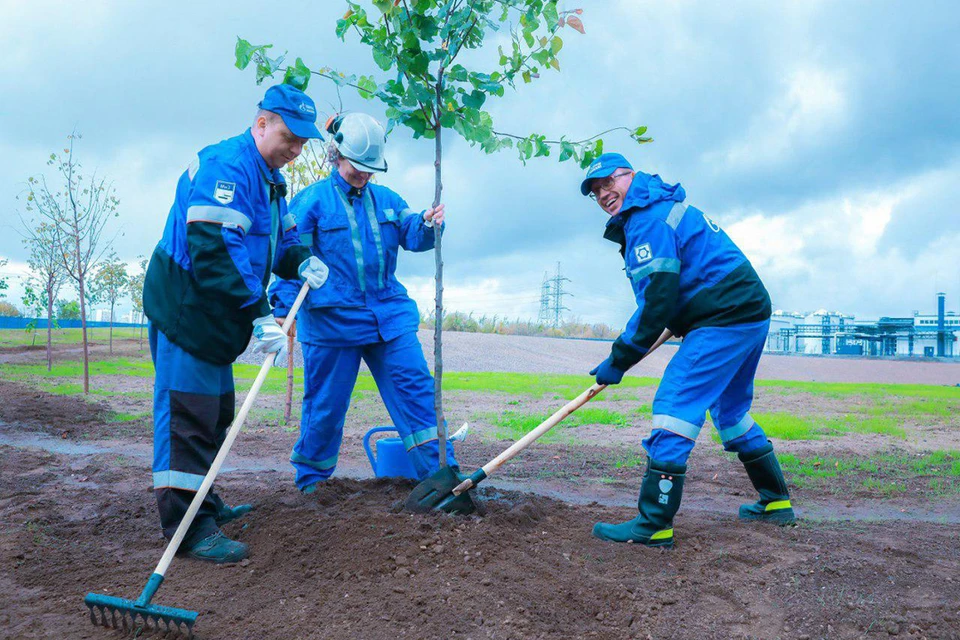 На территории Московского НПЗ высадили более 100 новых деревьев