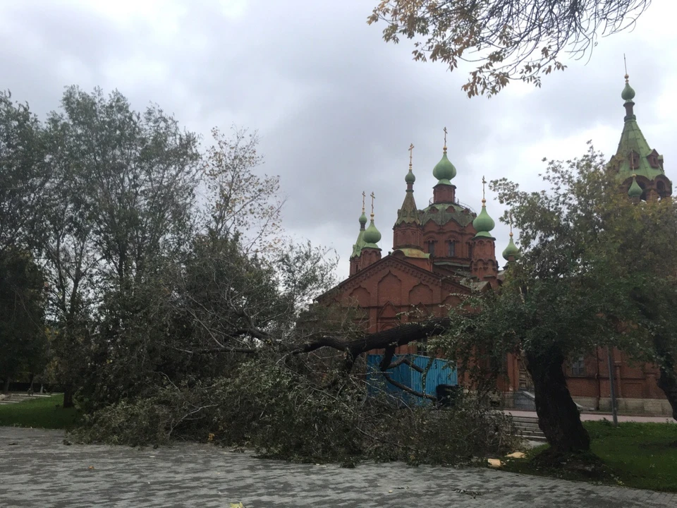 Почему в Челябинске начали падать деревья 19 сентября?