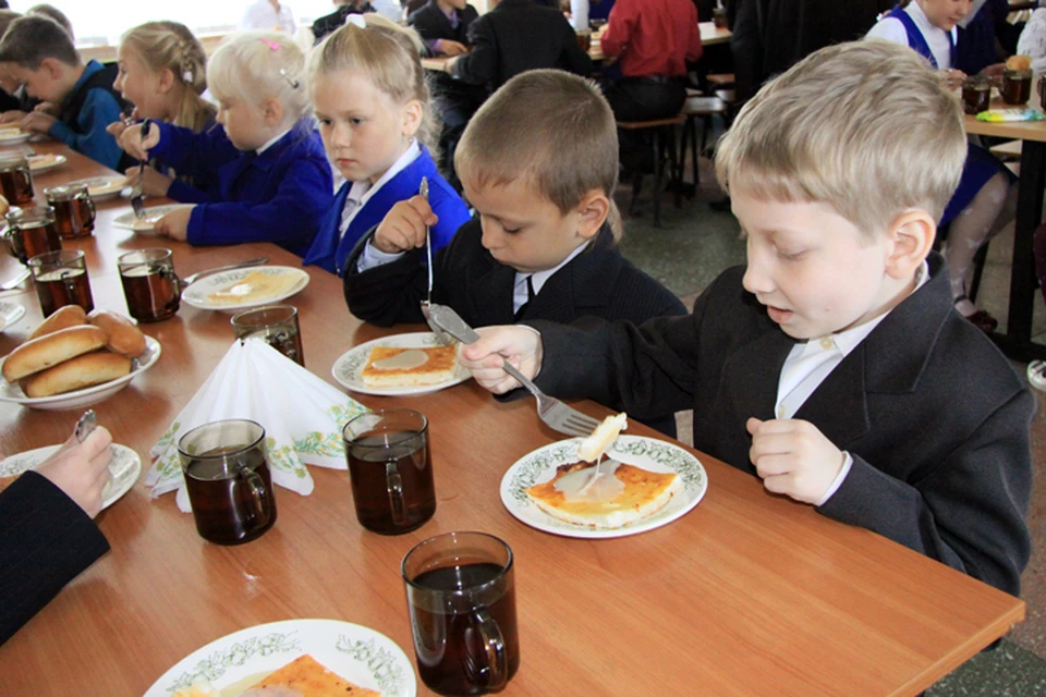Депутаты Госдумы предложили ввести в детсадах и младших классах школ обязательные горячие обеды