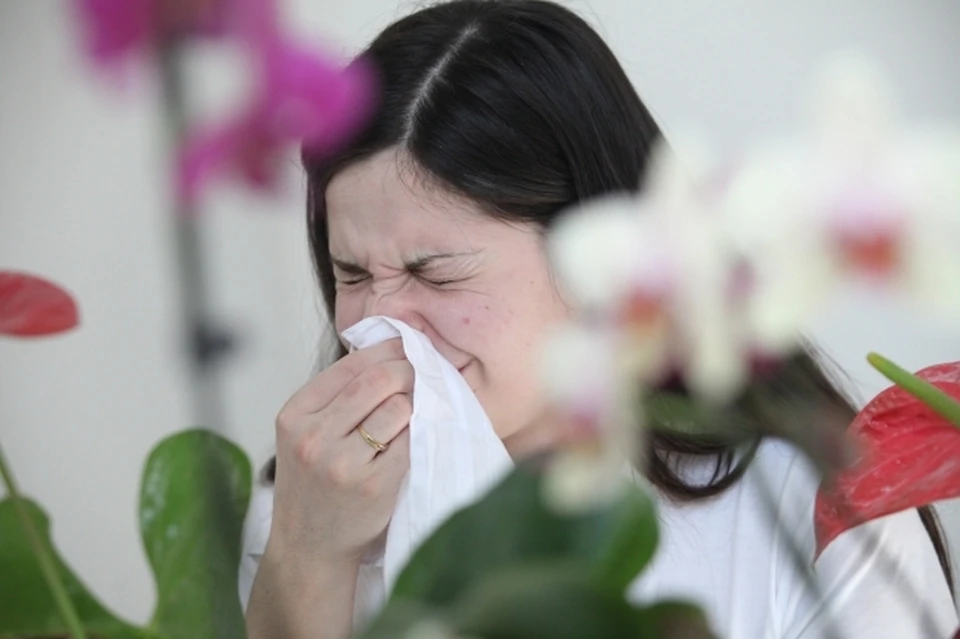 Задай вопрос доктору: как справиться с аллергией у взрослых и детей