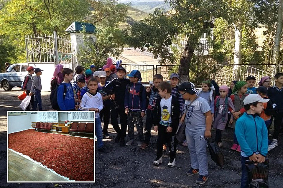 Пресс-служба школы с гордостью показывает фотографии со сборов