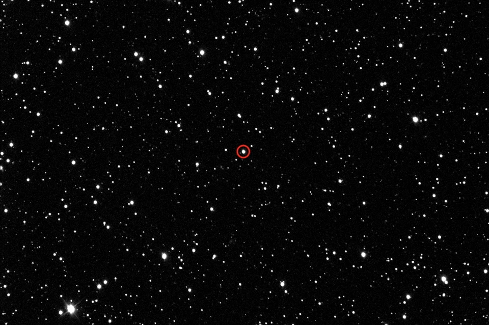 В созвездии Лебедя есть звезда KIC 9832227 (обведена кружочком). Вот она-то и засияет красным цветом. Фото: Evan Cook/en.wikipedia.org