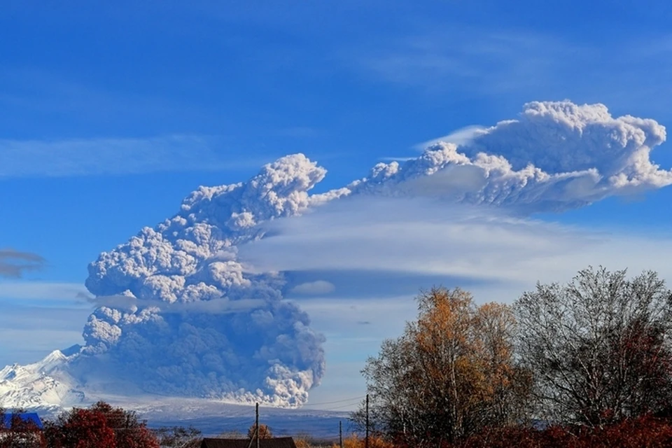 Вулкан Шивелуч – самый северный действующий вулкан на Камчатке. Фото: Ю. Демянчук. ИВиС ДВО РАН, KVERT