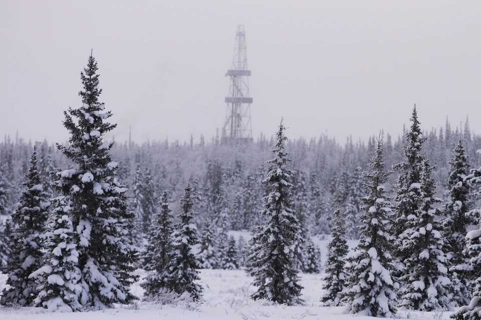 Фото предоставлено «ЛУКОЙЛ»