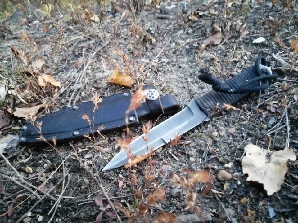 Тело женщины, со следами насильственной смерти, нашли на пустыре волонтеры