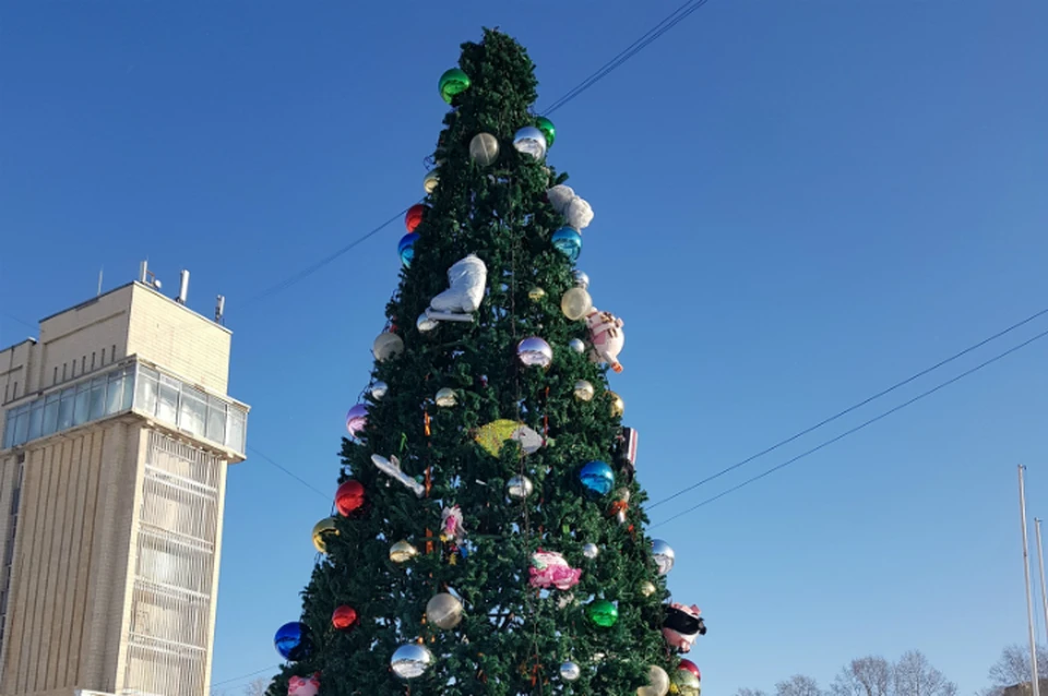 Ели хабаровск. Елка в Хабаровске на площади Ленина 2020. Хабаровск елка на площади 2020. Новогодняя елка на площади в Хабаровске. Наряженная елка в парке.