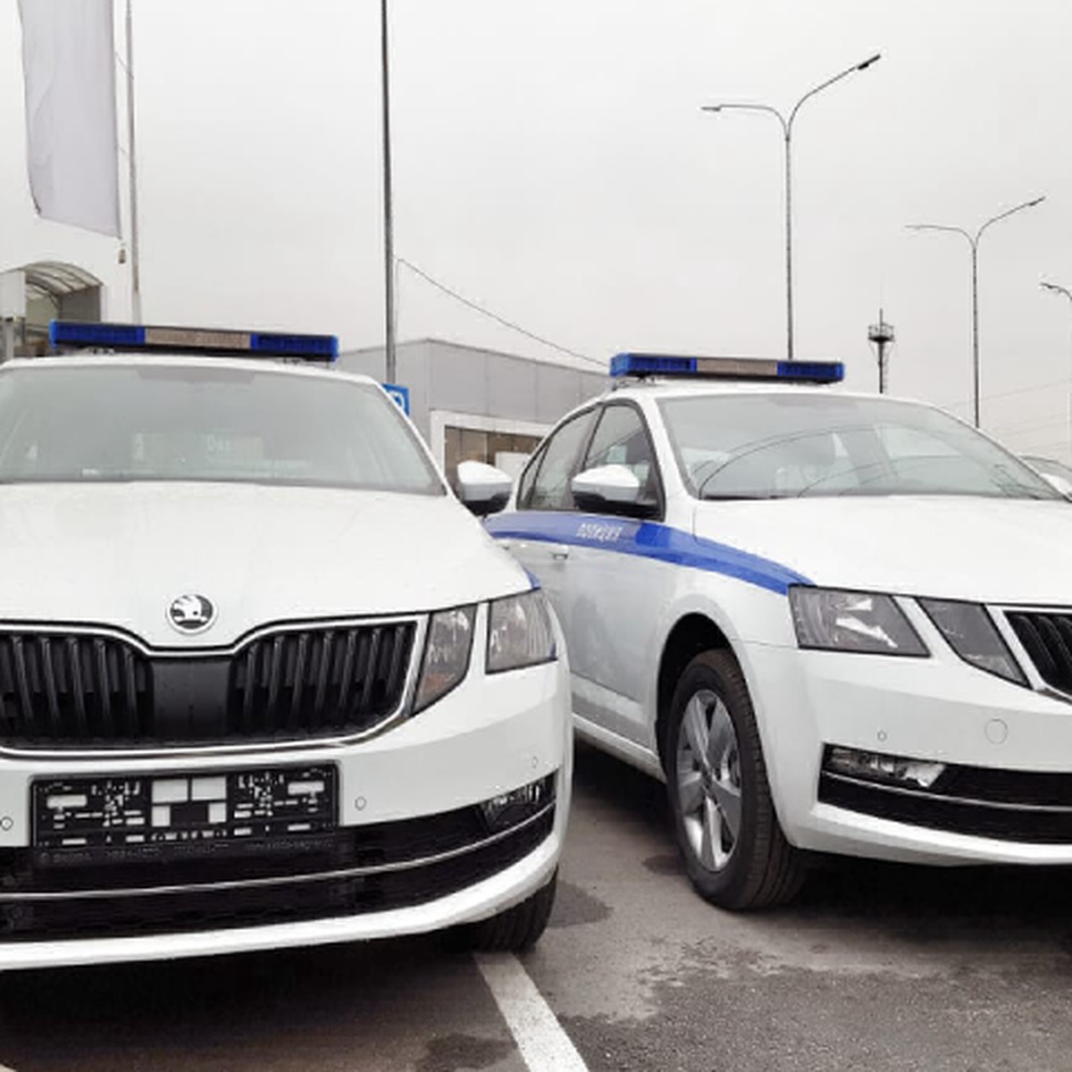 Skoda octavia дпс. Skoda Octavia ППС.