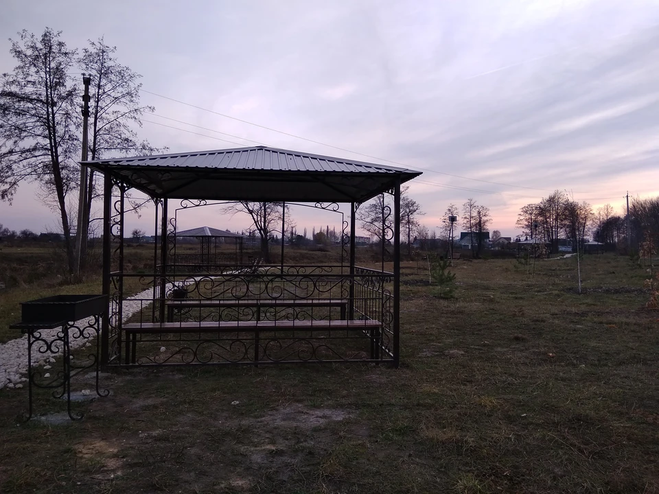 Металлический липецк. Стальное дерево Липецк. Стальное дерево проект. Стальное дерево Липецк 2021. Стальное дерево Липецк 2022.