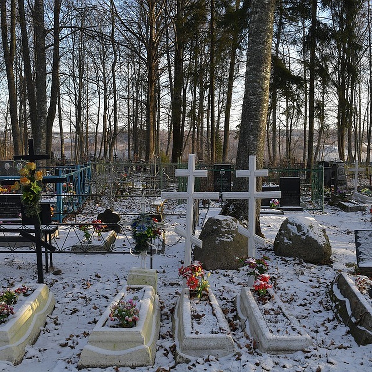 Гробы на санях: в Печоре умерших не могут достойно похоронить из-за  нечищенных дорог - KP.RU