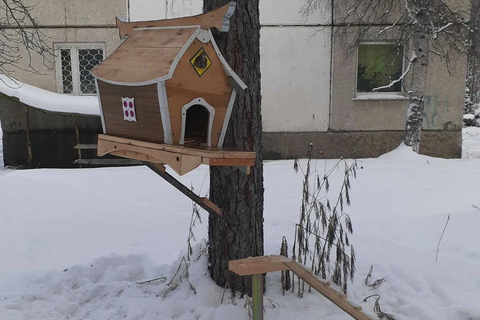 Скворечник для кота: жители Байкальска построили домик для бездомных питомцев. Фото: группа "Типичный Байкальск" в соцсетях.