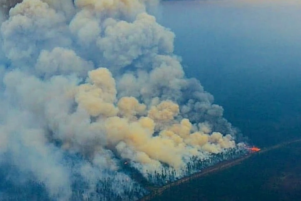 Этим летом тайга разгорелась так сильно, что дымом заволокло практически всю Сибирь. Фото: Лесопожарный центр.