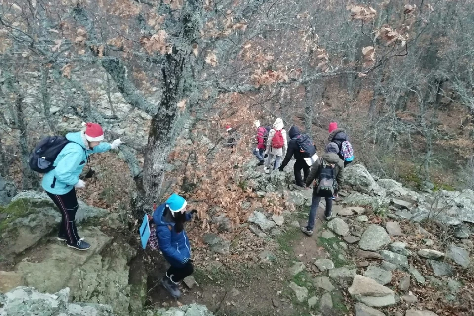 Прогулки в горы лучше отменить.