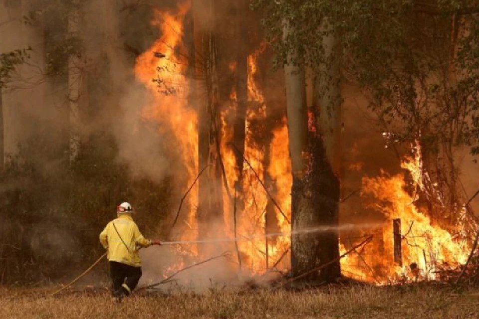 На востоке Австралии из-за лесных пожаров заблокированы тысячи людей