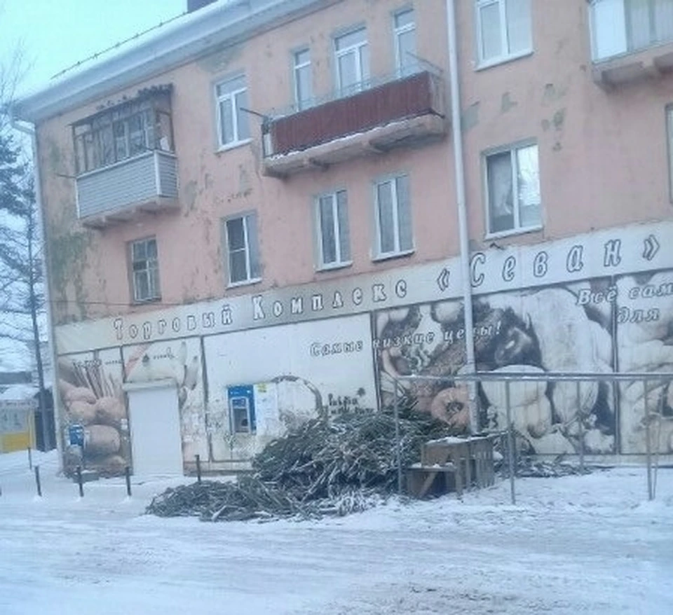 Елки повсюду.