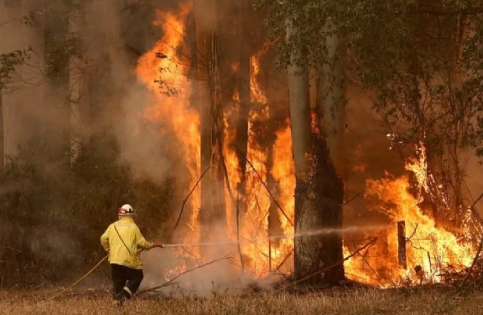 Австралия призвала 3 тысячи военных для борьбы с пожарами