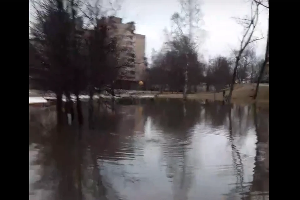 В Сестрорецке прорвало канализацию. Запах стоит соответствующий. Фото: кадр с видео / vk.com/newsestroreck