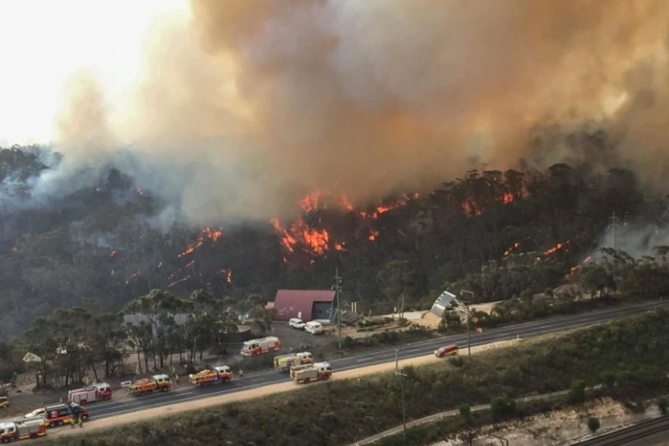 Пожары в Австралии уничтожают леса и жилые дома