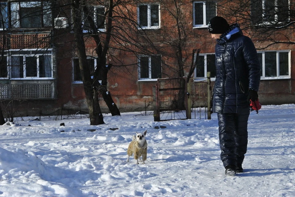 В Донецк пришла настоящая зима со снегом