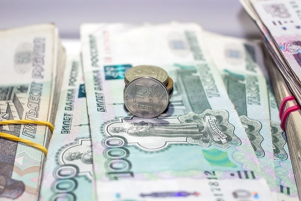 Инициативные пуровчане могут получить 10 миллионов рублей Фото: pixabay.com