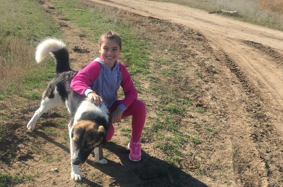 Василиса круглый год приезжает в приют, чтобы погулять с собачками. Фото6 личная страница ВК Екатерины Ермиловой.