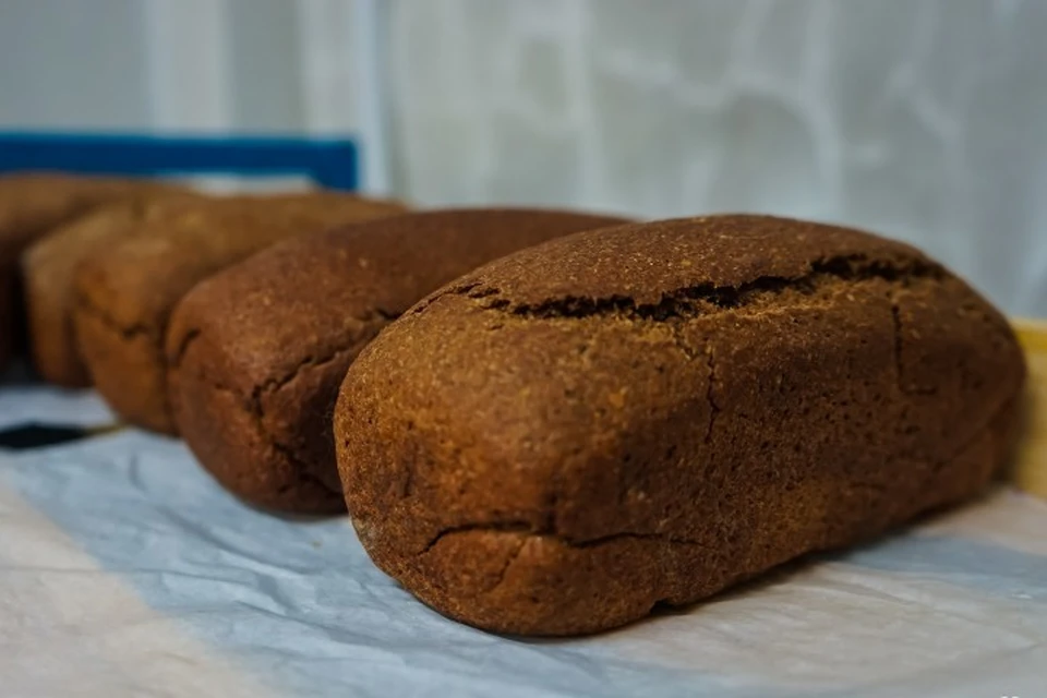 В Кузбассе испекли 100 килограммов блокадного хлеба. ФОТО: Пресс-служба администрации Правительства Кузбасса.