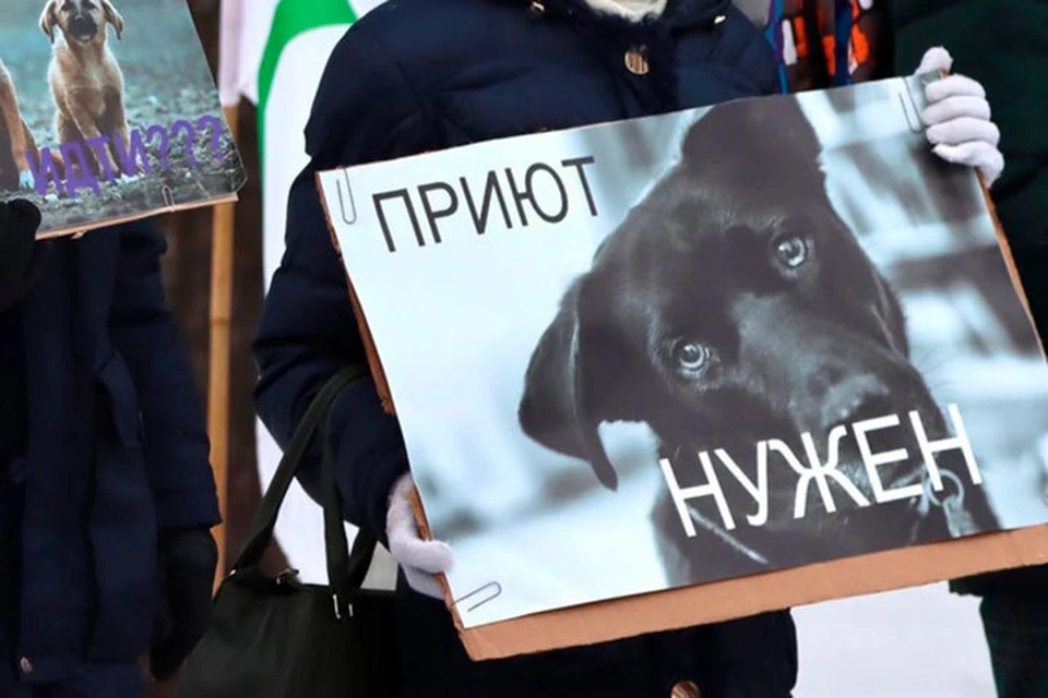 Митинг за создание в Удмуртии приютов. Фото: vk.com/azj_izhevsk