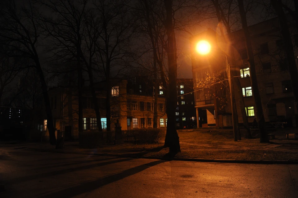 В Невском районе девушку убило током от оголенных проводов.