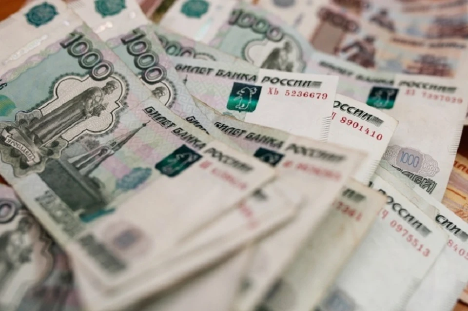 Большая часть полученных денег была направлена на развитие обрабатывающей промышленности, сельского и лесного хозяйства, а также на добычу полезных ископаемых.